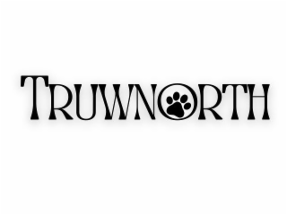 TRUWNORTH logo