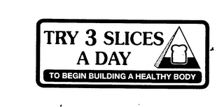 TRY 3 SLICES A DAY TO BEGIN BUILDING A HEALTHY BODY logo