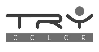 TRY COLOR logo