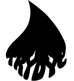 TRY DYE logo