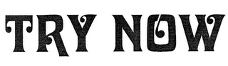 TRY NOW logo