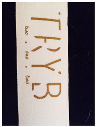TRYB TWO ONE TWO logo
