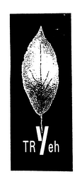 TRYEH logo