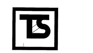 TS logo