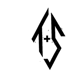 T+S logo