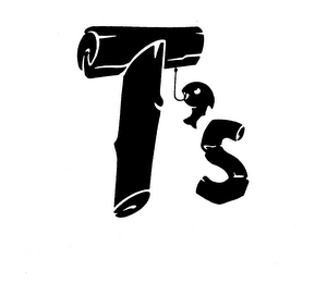TS logo