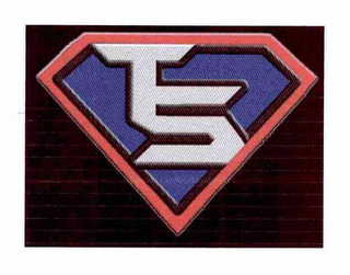 TS logo