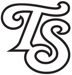 TS logo