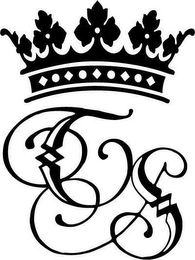 TS logo
