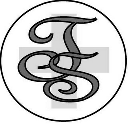 TS logo