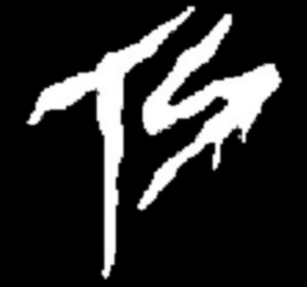 TS logo