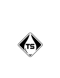 TS logo
