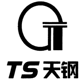 TS logo