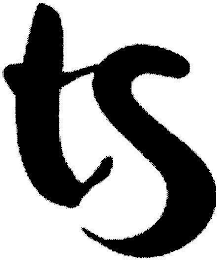 TS logo