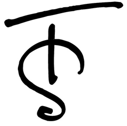 TS logo
