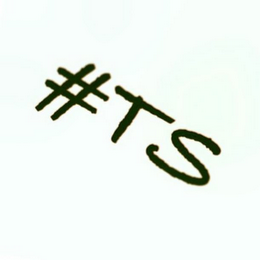 #TS logo