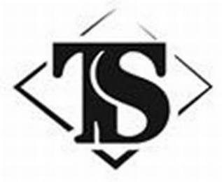 TS logo