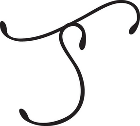 TS logo