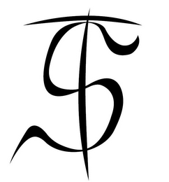 TS logo