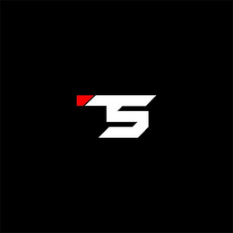 TS logo