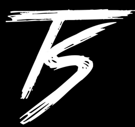 TS logo