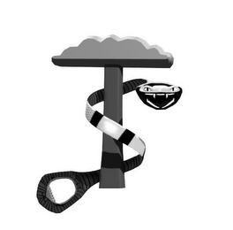 TS logo