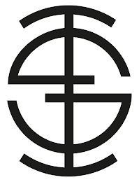 TS logo