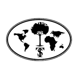 TS logo