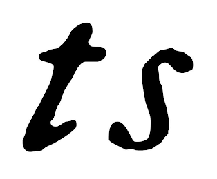 TS logo