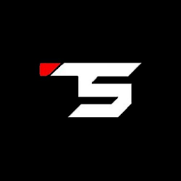TS logo