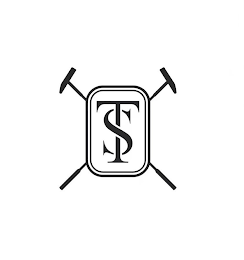 TS logo