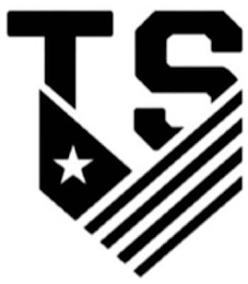 TS logo