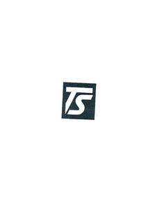 TS logo