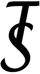 TS logo