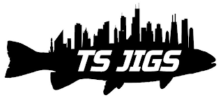 TS JIGS logo