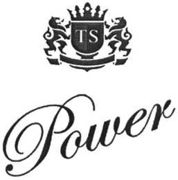 TS POWER logo