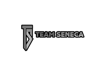 TS TEAM SENECA logo