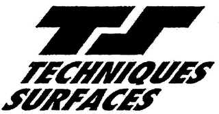 TS TECHNIQUES SURFACES logo