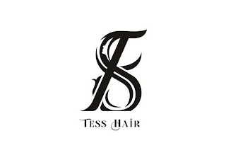 TS TESS HAIR logo
