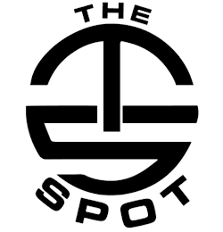 TS THE SPOT logo