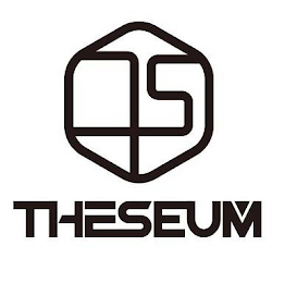 TS THESEUM logo