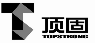 TS TOPSTRONG logo