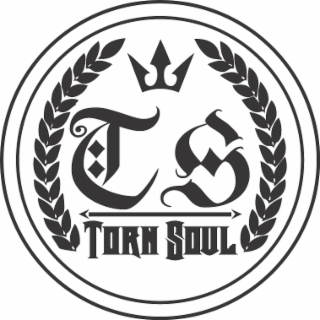 TS TORN SOUL logo