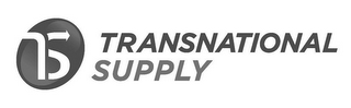 TS TRANSNATIONAL SUPPLY logo