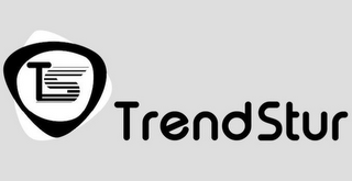 TS TRENDSTUR logo