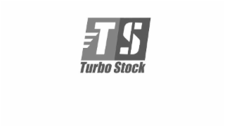 TS TURBO STOCK logo