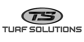TS TURF SOLUTIONS logo