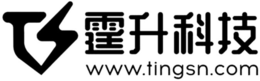 TS WWW.TINGSN.COM logo