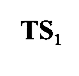 TS1 logo