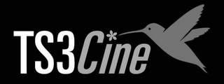 TS3CINE logo